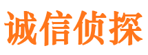 岑巩侦探社